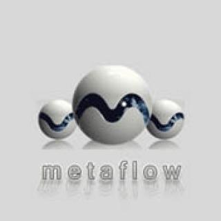 Metismo 员工 Chasey 加入 B2B 市场 Metaflow 董事会